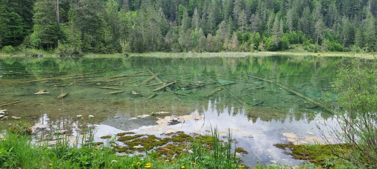 Ferienwohnung Ela Reutte Bagian luar foto